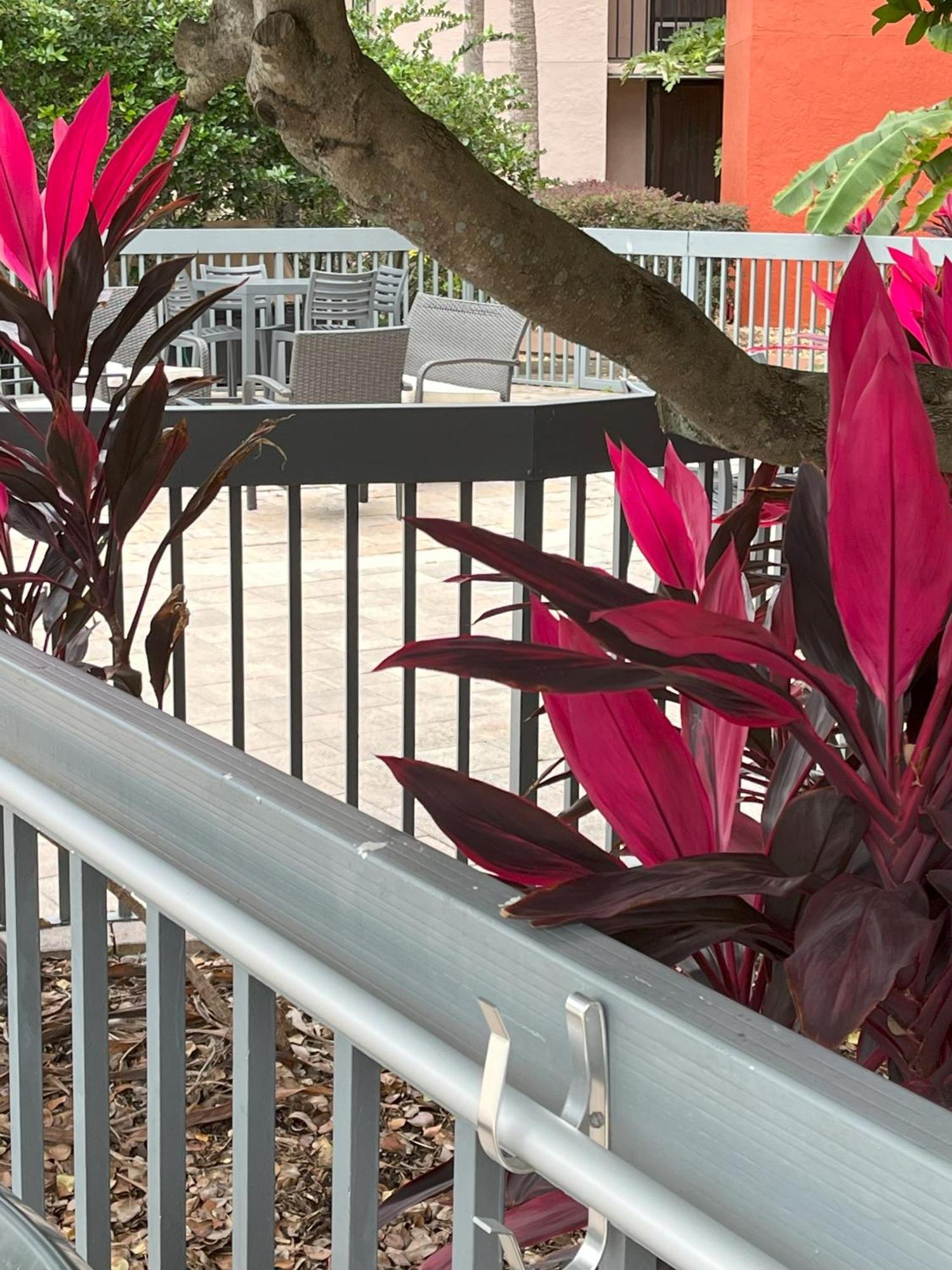 Grand Hotel Orlando At Universal Blvd - Shuttle To Theme Parks Esterno foto