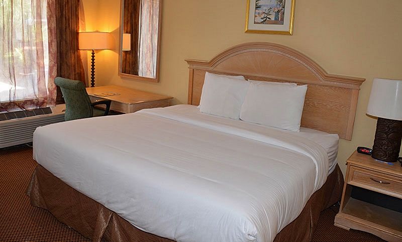 Grand Hotel Orlando At Universal Blvd - Shuttle To Theme Parks Esterno foto